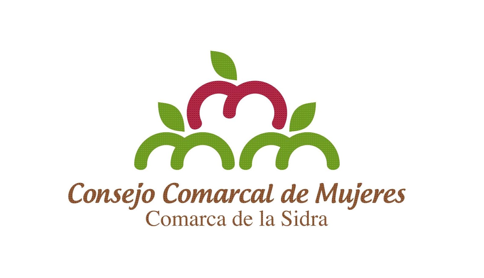 Villaviciosa Noticias De Total Actualidad El Consejo Comarcal De