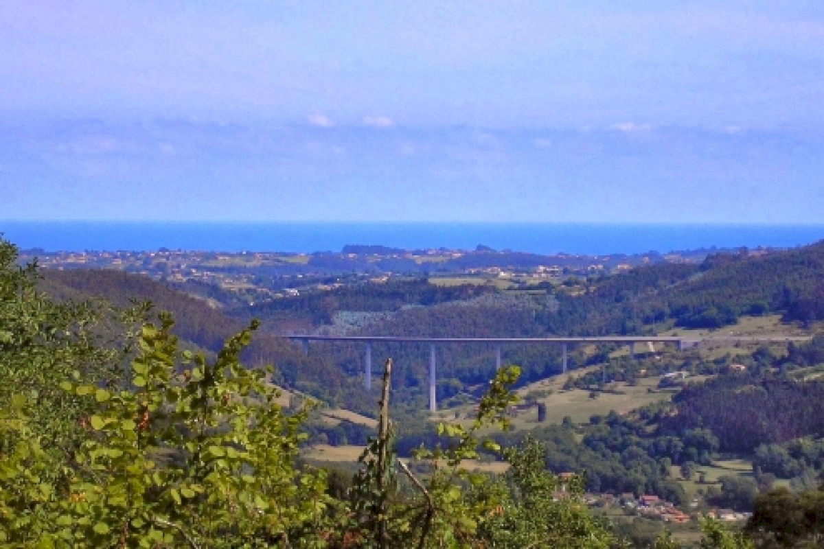 nicasio viaducto (1).jpg