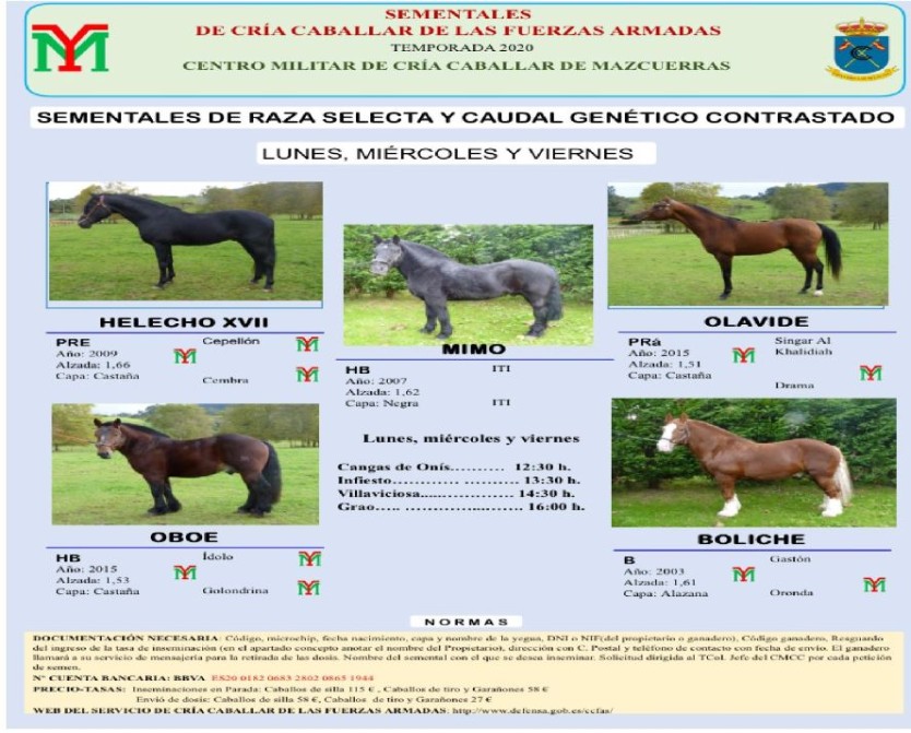 Villaviciosa Noticias Las Noticias Curiosas Parada De Sementales Para Caballos Desde Este Mi